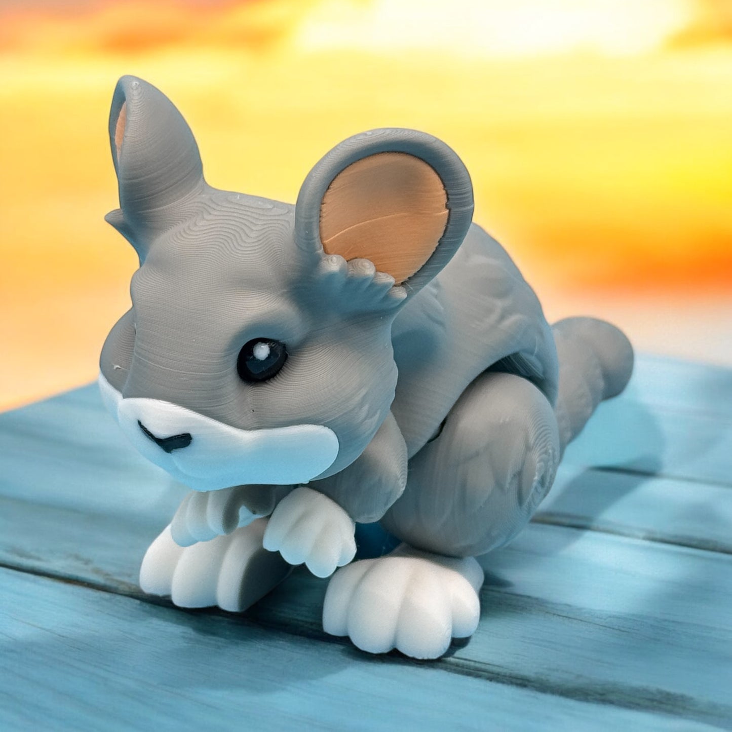Chinchilla
