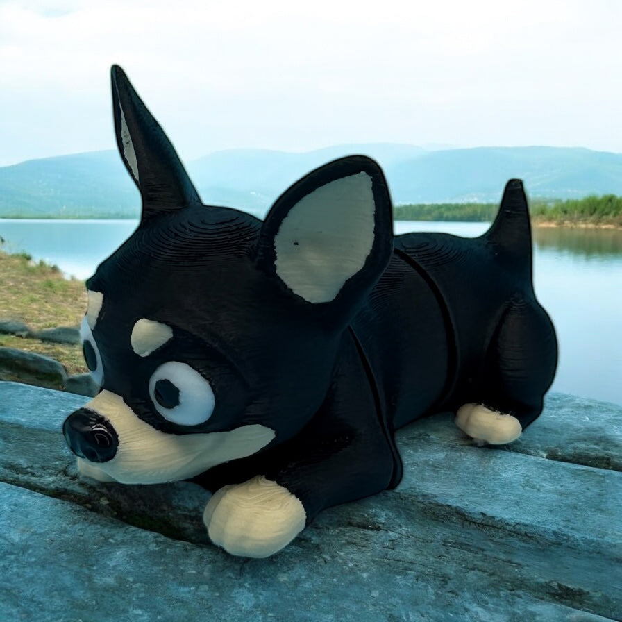 Mini Chihuahua