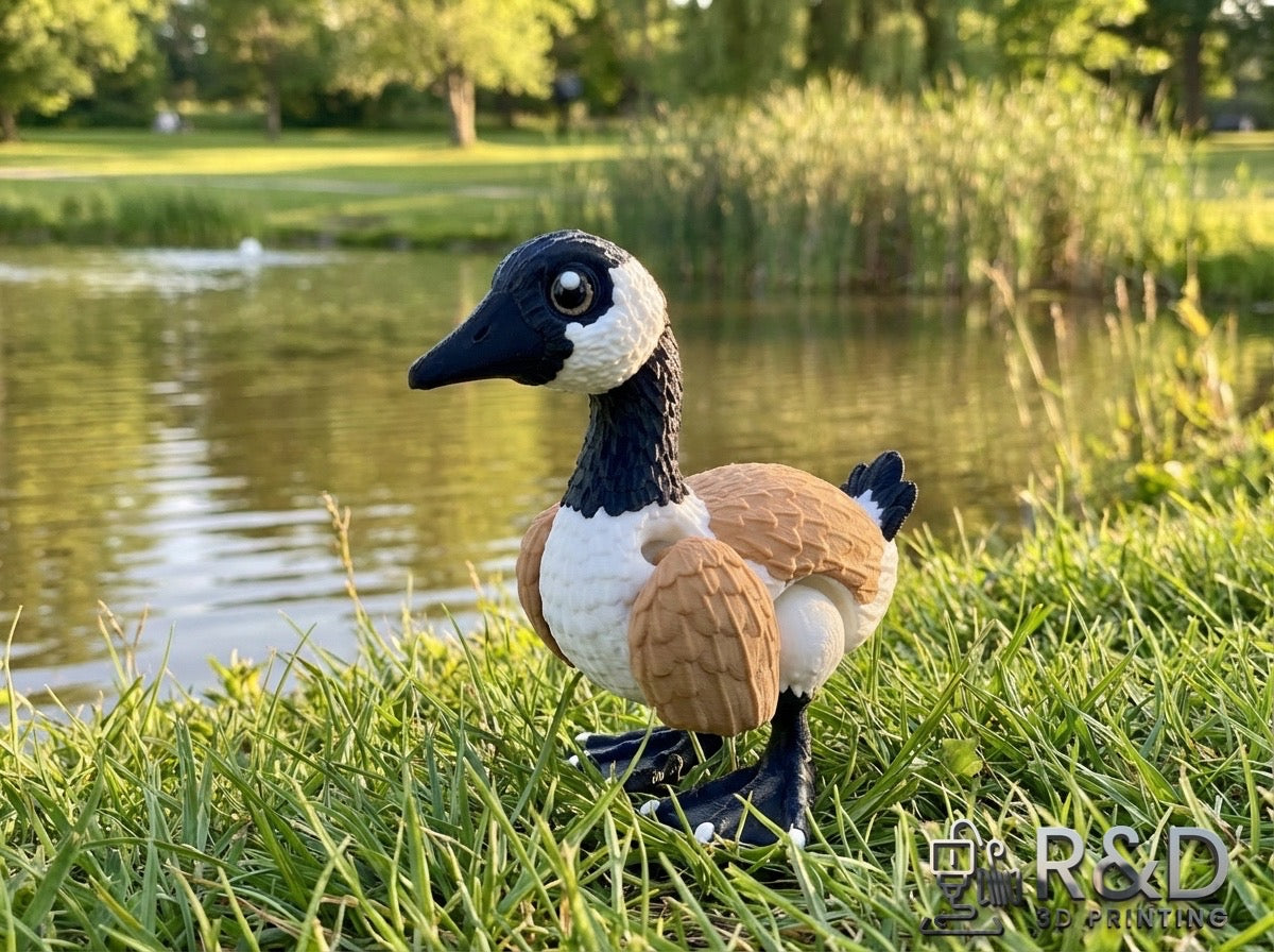 Canada Goose