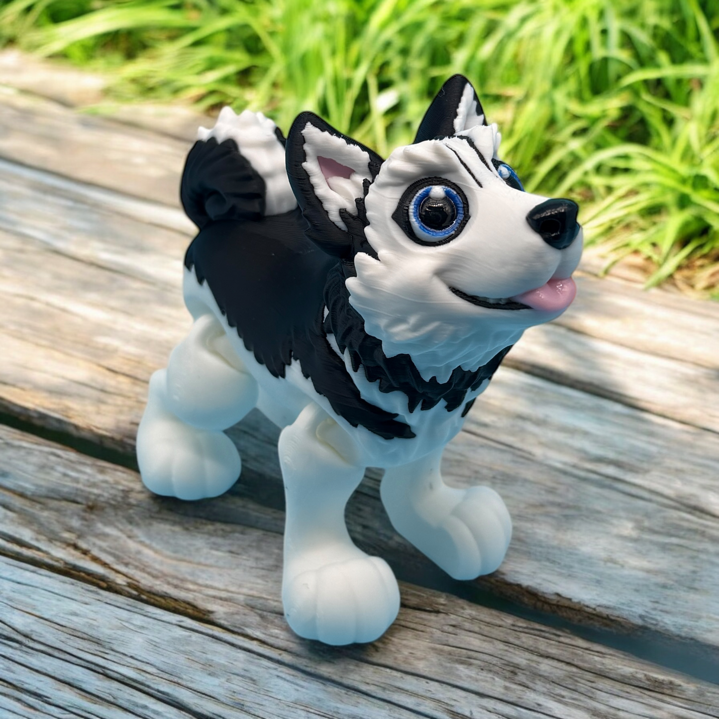 Husky Dog