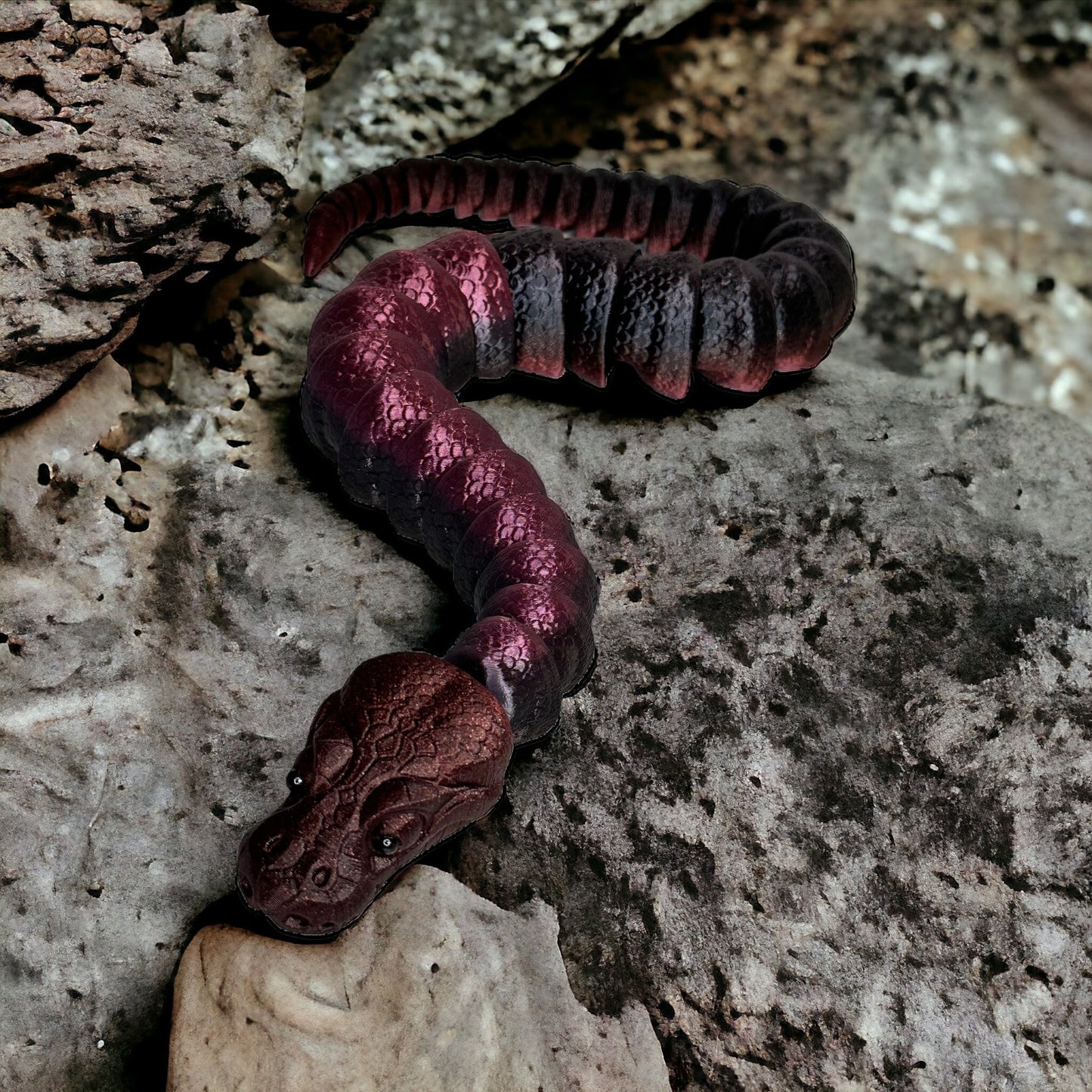 Ball Pythons