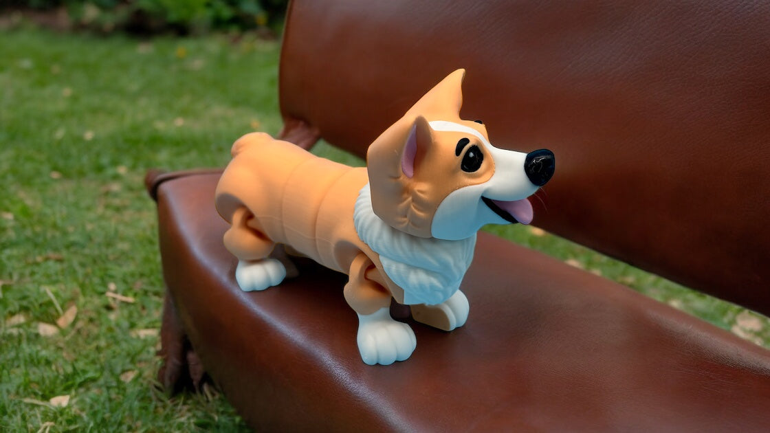 Corgi