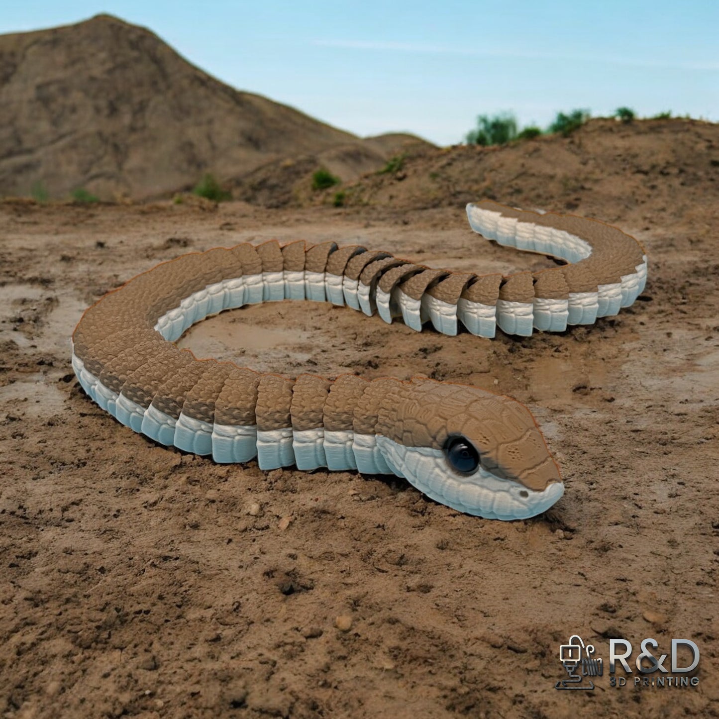 Boomslang Snake