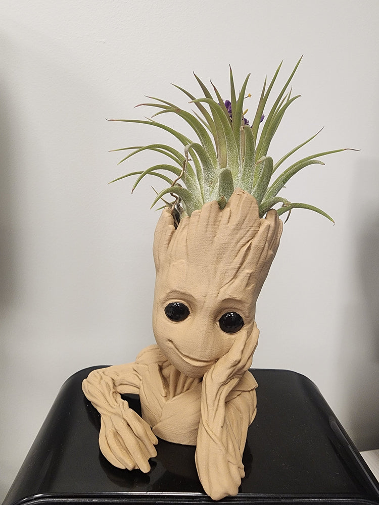 Planters