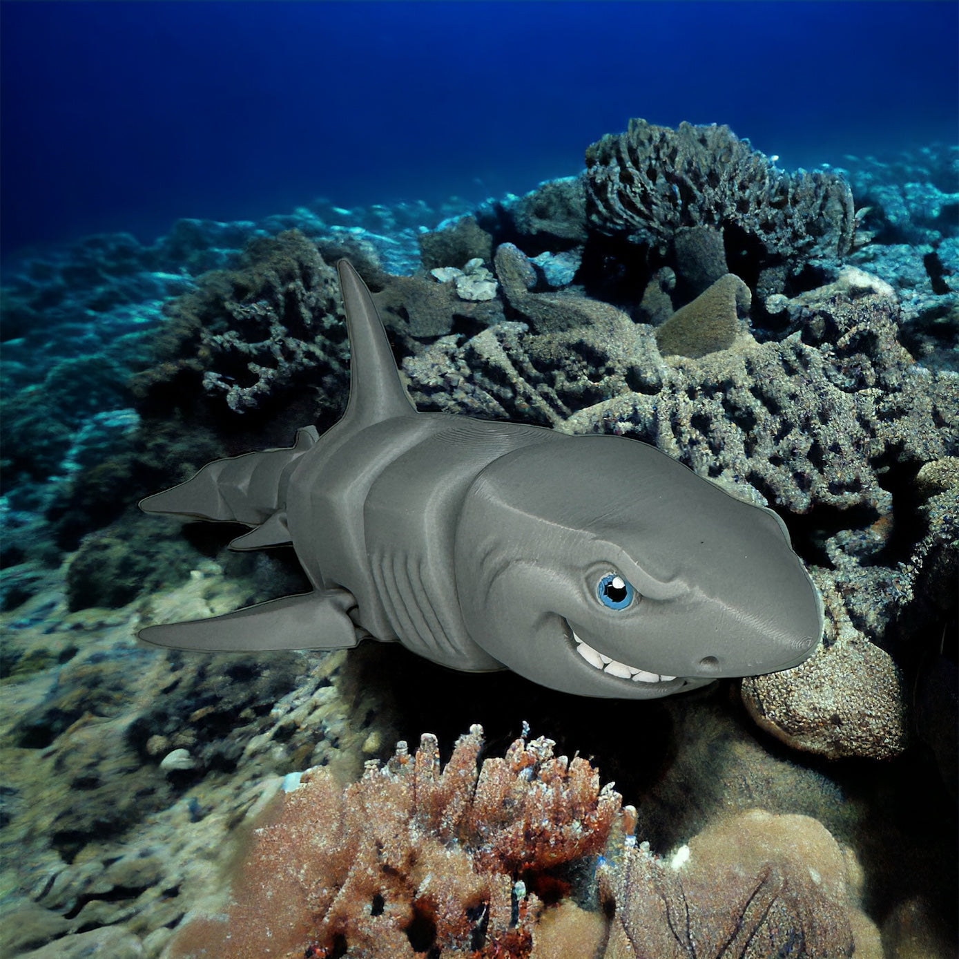 Aquatic Animals & Sea Creatures