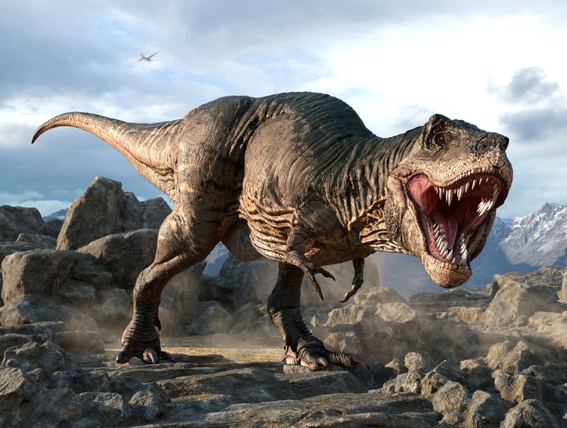 Dinosaurs