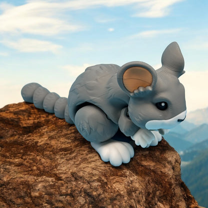 Chinchilla