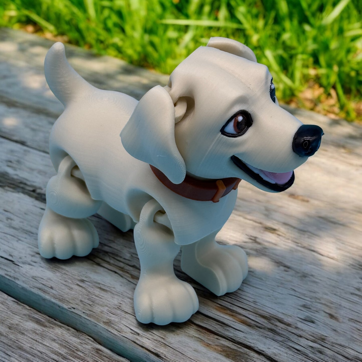 Labrador Puppy