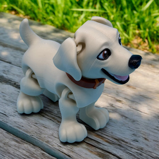 Labrador Puppy