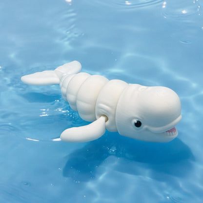 Beluga Whale