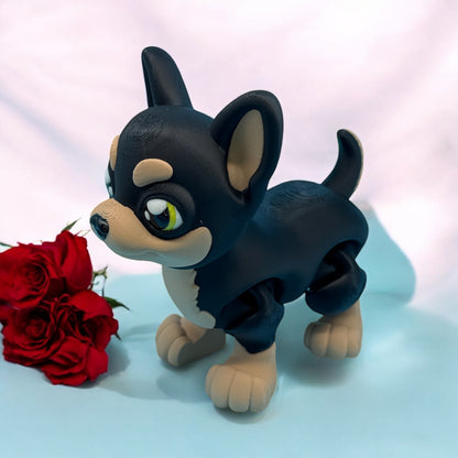 Chihuahua