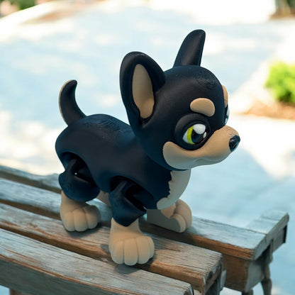 Chihuahua