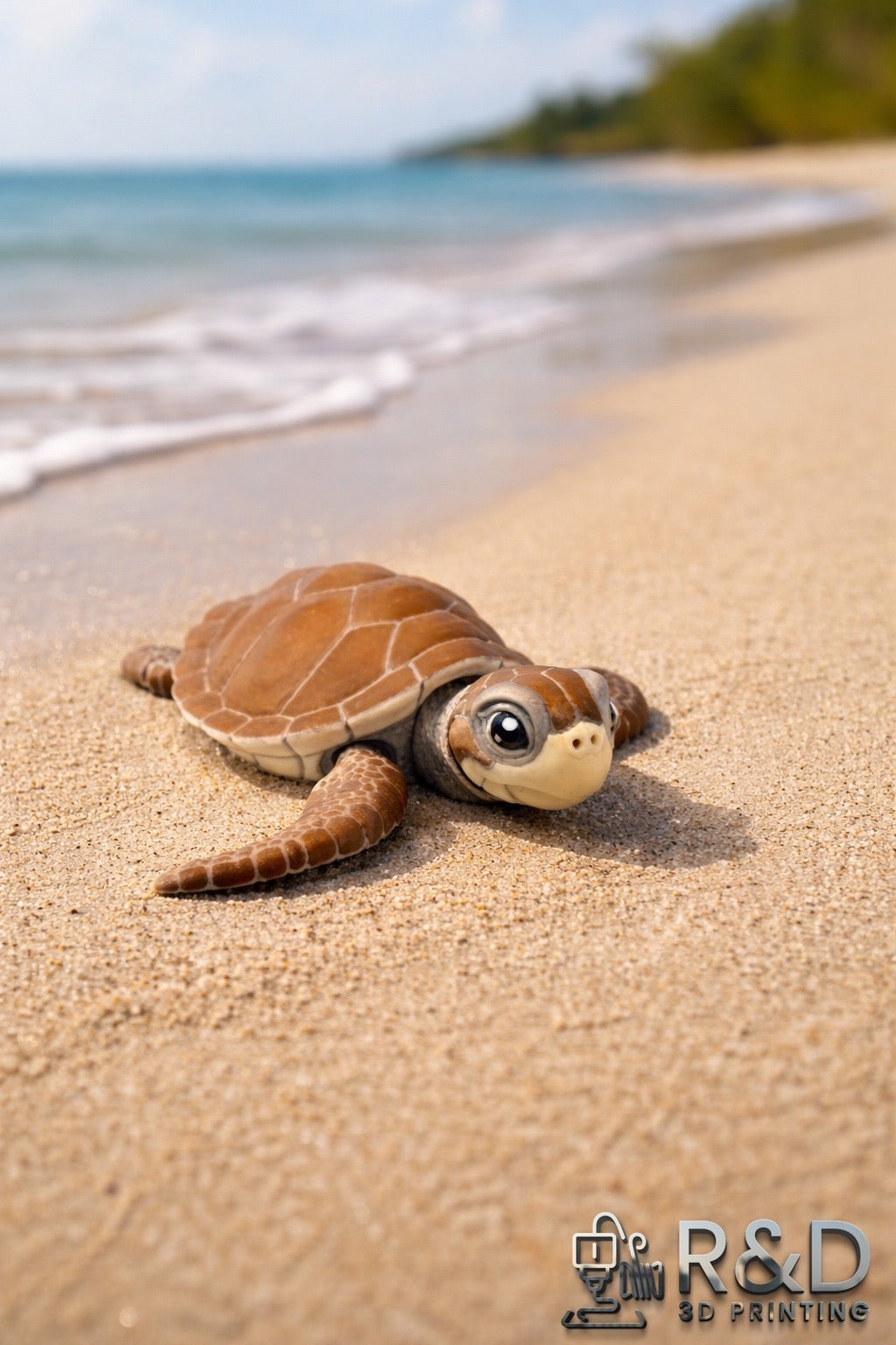 Sea Turtle