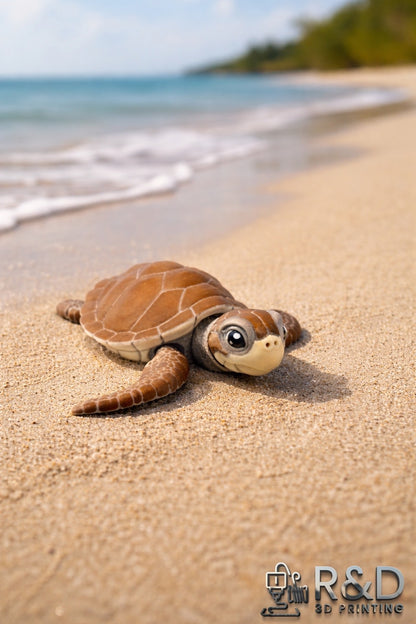 Sea Turtle