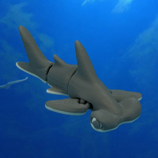Tiny Hammerhead Shark