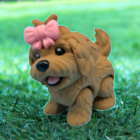 Golden Doodle