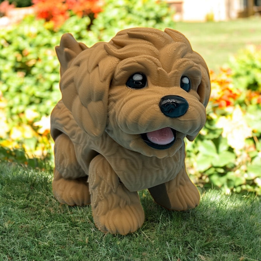 Golden Doodle