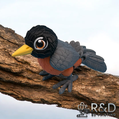American Robin