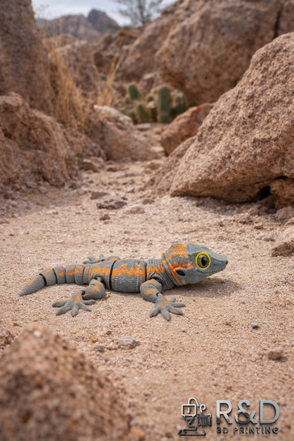 Gargoyle Gecko