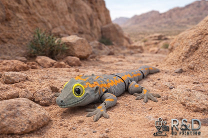 Gargoyle Gecko