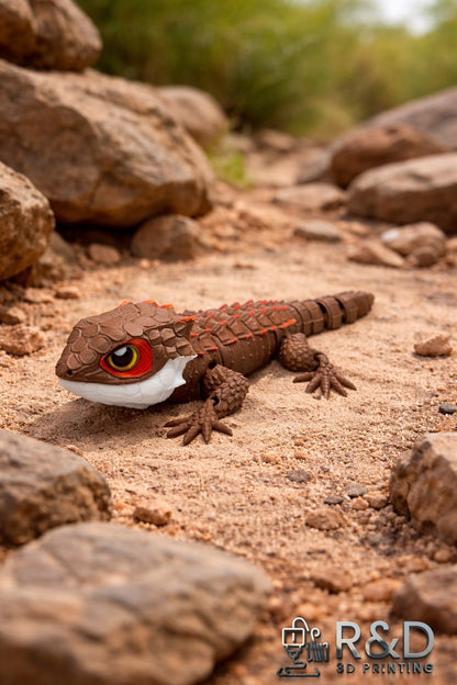 Crocodile Skink