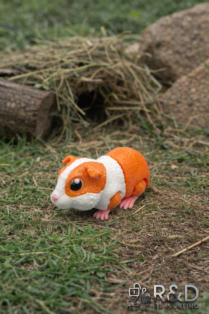Guinea Pig