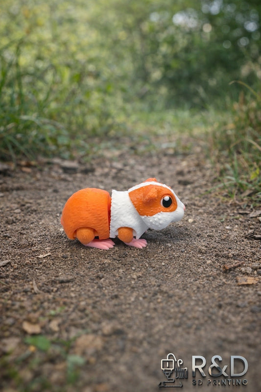 Guinea Pig