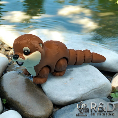 Baby Otter