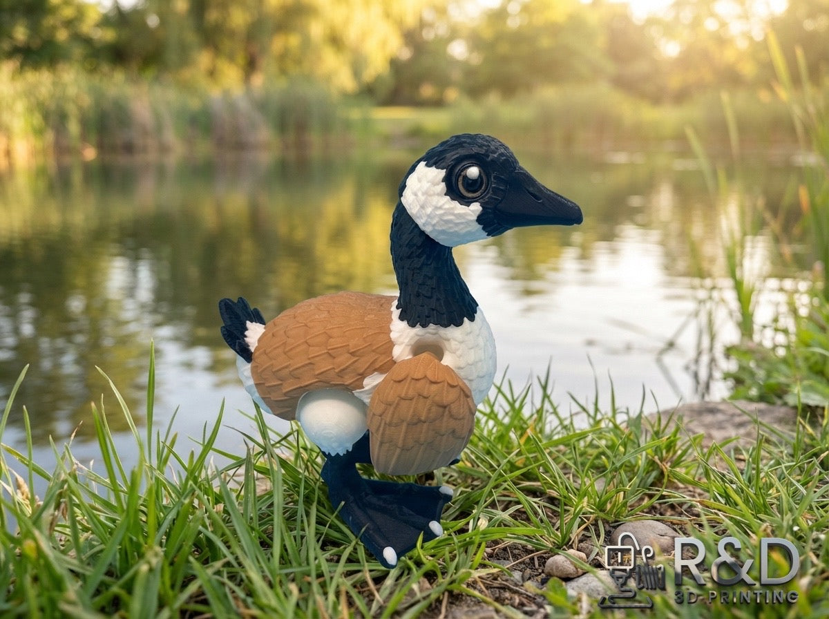 Canada Goose