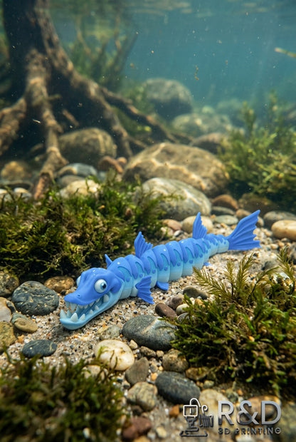 Barracuda