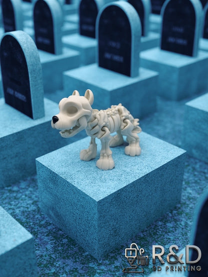 Pitbull Skeleton