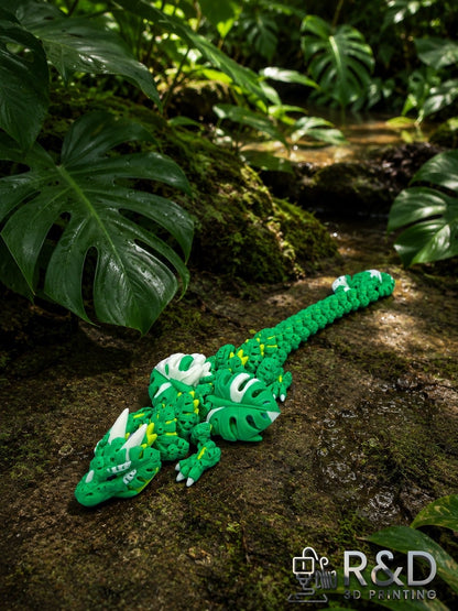 Monstera Leaf Dragon