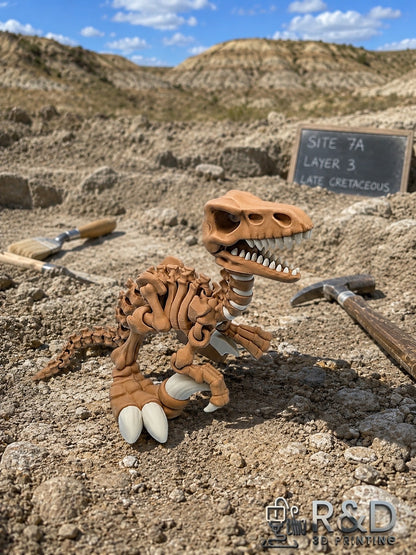 Dino Raptor Skeleton