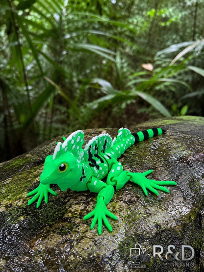 Basilisk Lizard