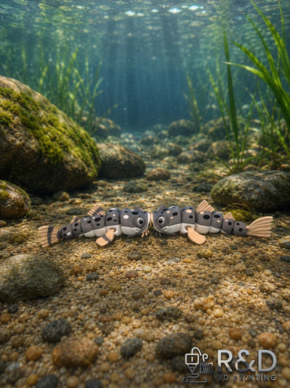 Catfish