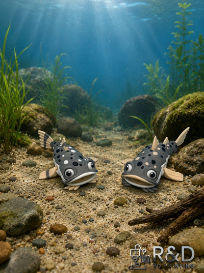 Catfish