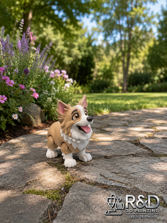Border Collie