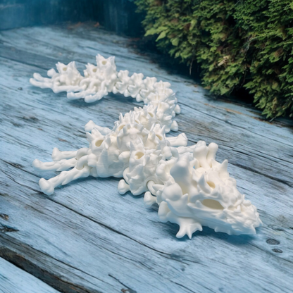 Hollow Dragon