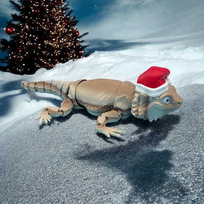 Santa Beardie