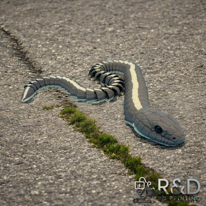 Garter Snake