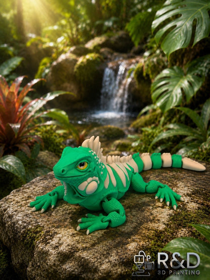 Iguana