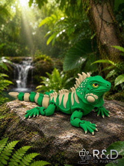 Iguana