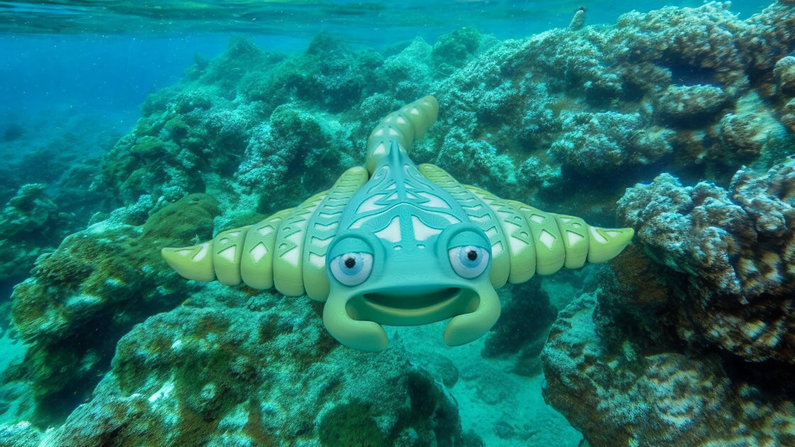 Manta Ray