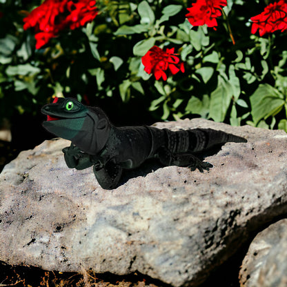 Leo Gecko