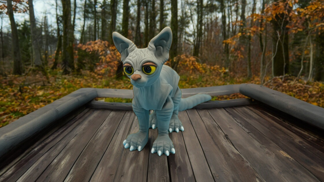 Sphinx Cat