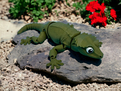 Crested Gecko