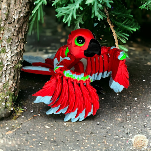 Macaw