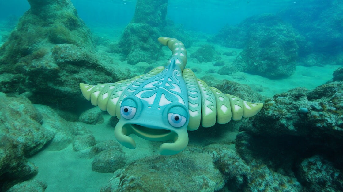 Manta Ray