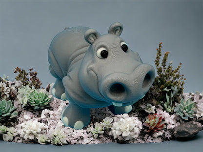 Baby Hippo