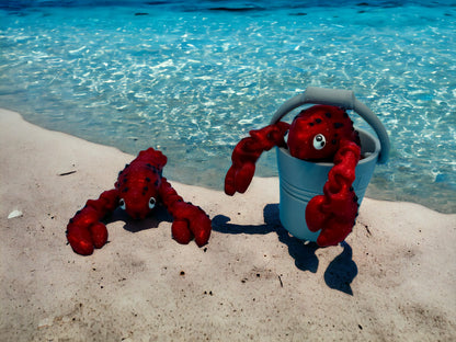 Lobster in Pail